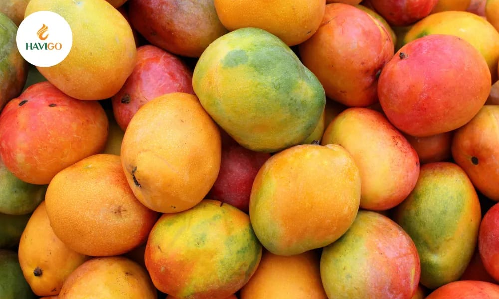 vietnamese-mango-premium-varieties-for-international-traders