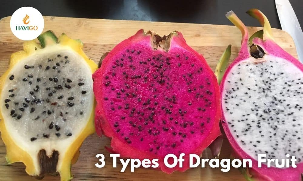 Types of Dragon Fruit: Taste, Benefits, and Use