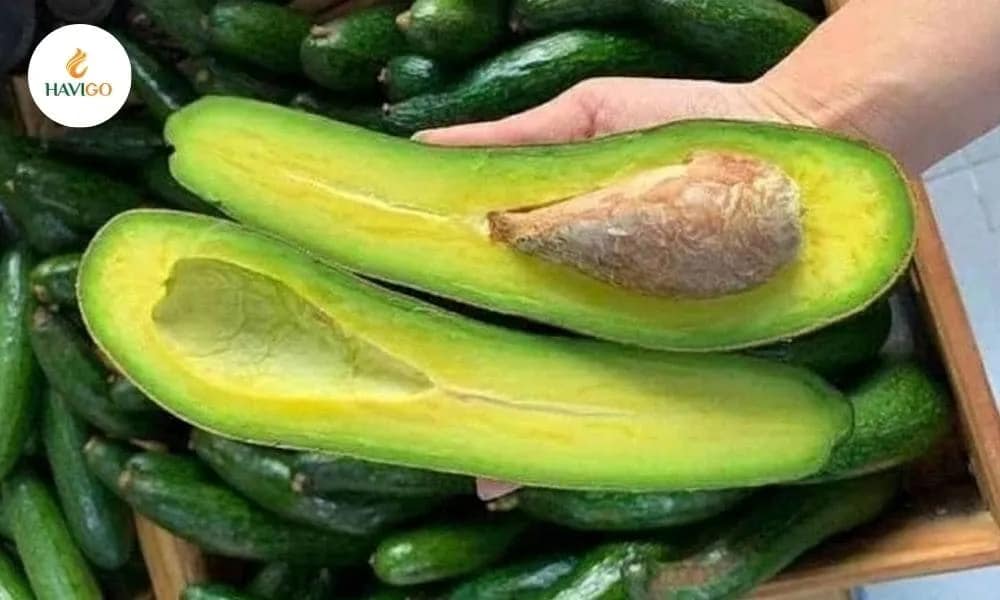 avocado-ripeness-check-by-texture-gentle-pressure-test