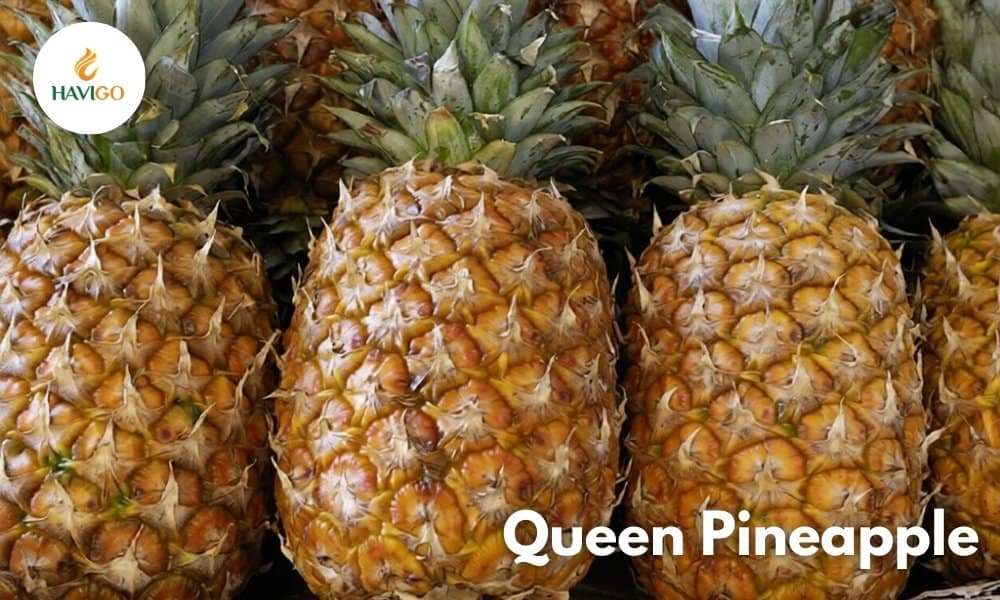 Queen Pineapple