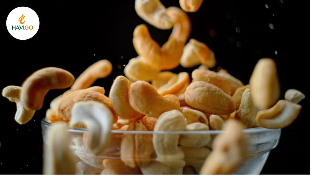 Cashew Industry Benefits from US Tariff Exemption Proposal