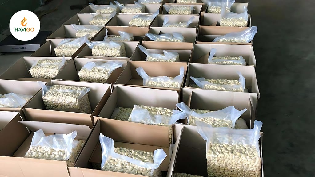 Types of Cashew Products Imported