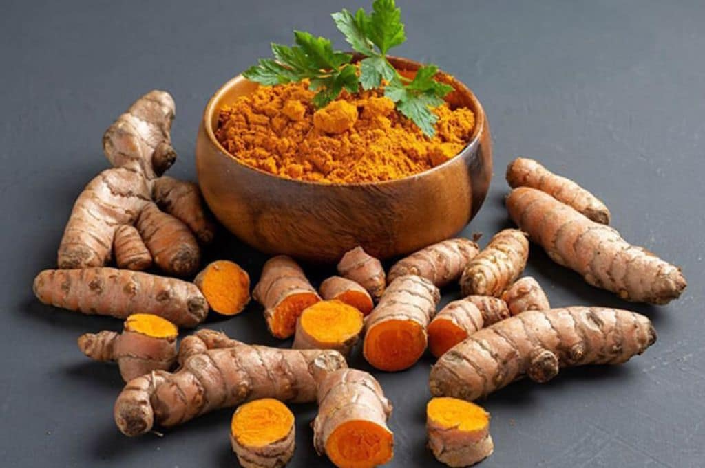 Vietnam Fresh Turmeric