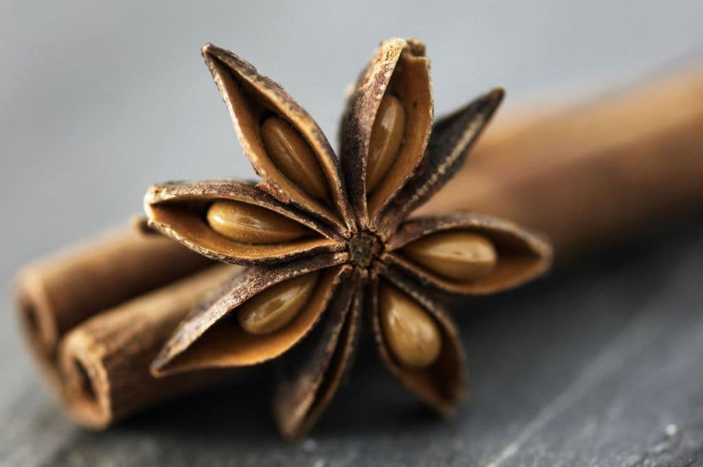 Health Benefits of Vietnam Star Anise