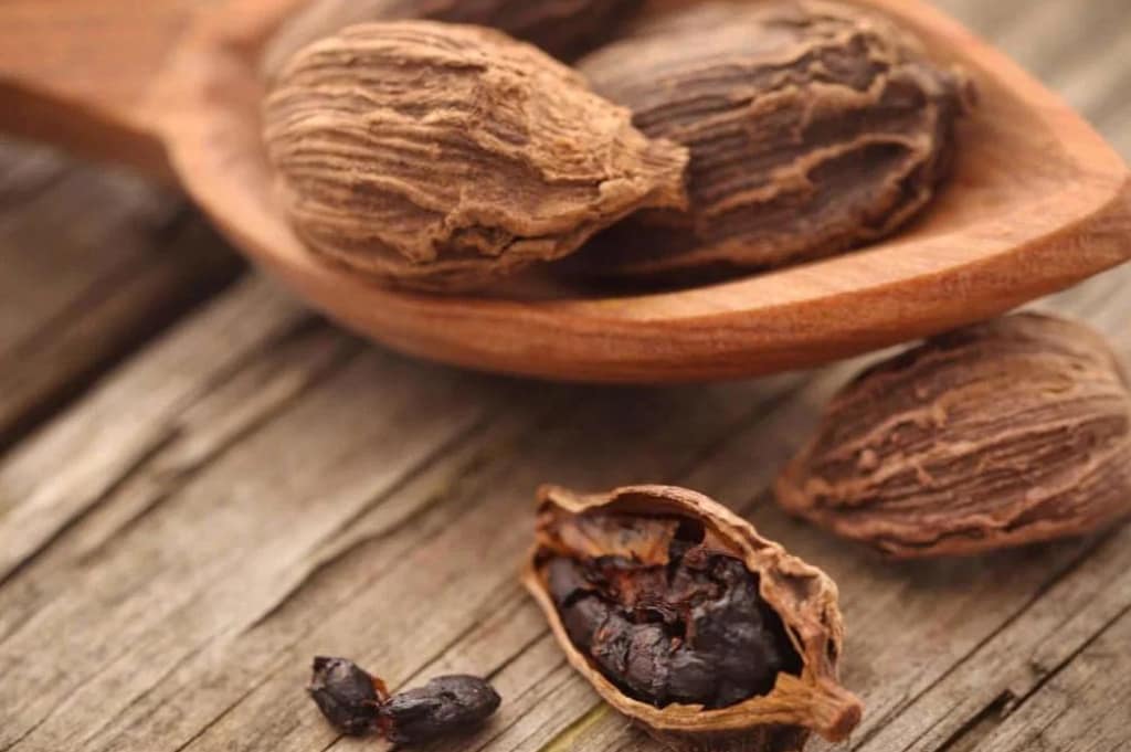 Medical Use of Black Cardamom