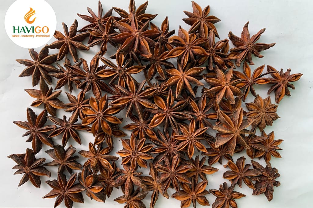 Premium Spring Star Anise from Vietnam