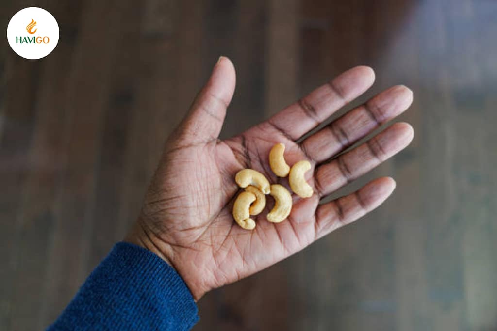 Import Cashew Nuts from Vietnam with Confidence – Here's How