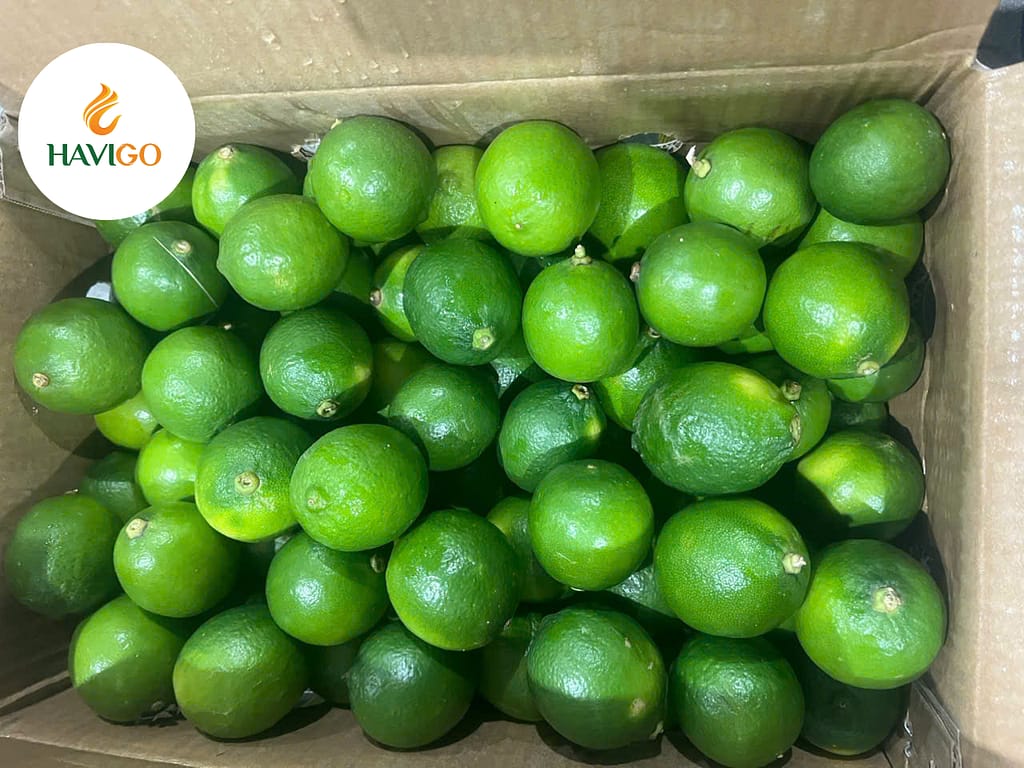 Why Importing Seedless Lime Is a Smart Move