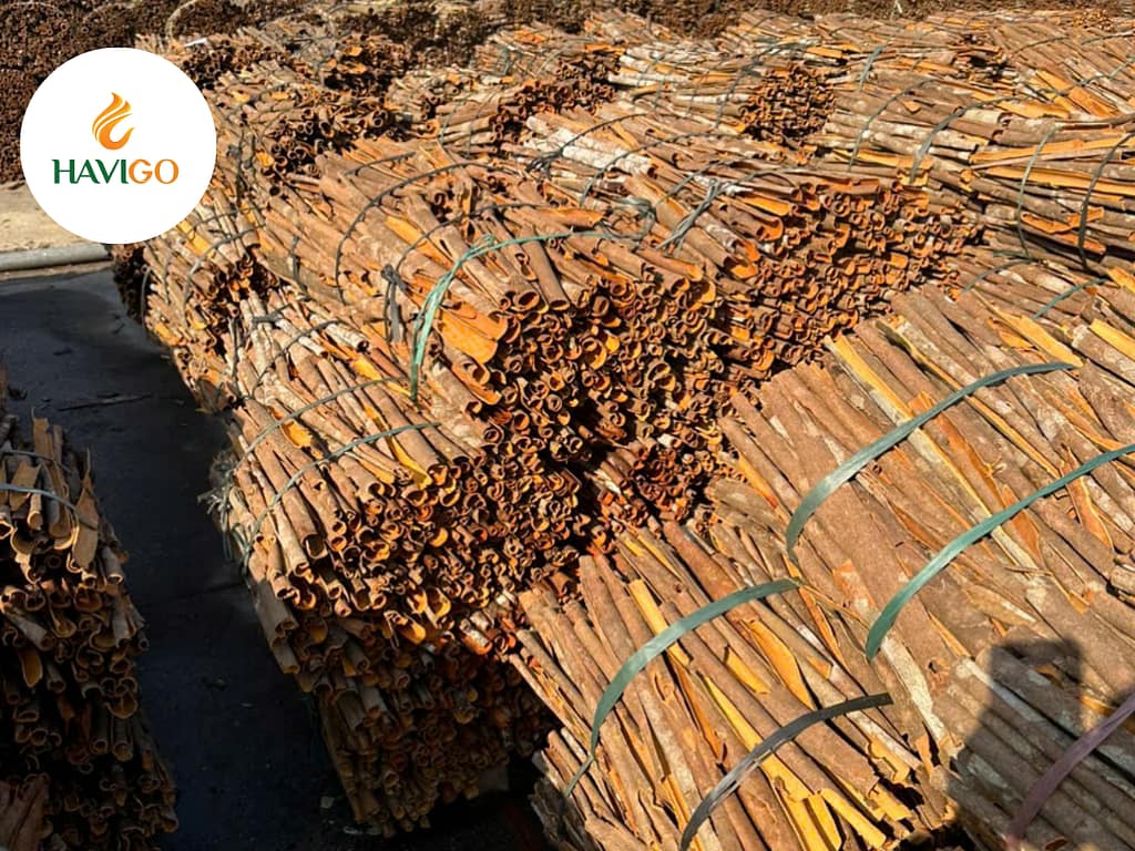 What Is Cassia Cinnamon?