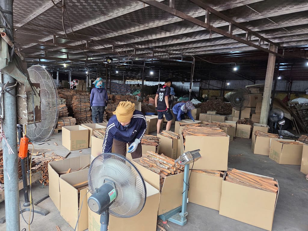 Why Choose Vietnamese Cassia Cinnamon?