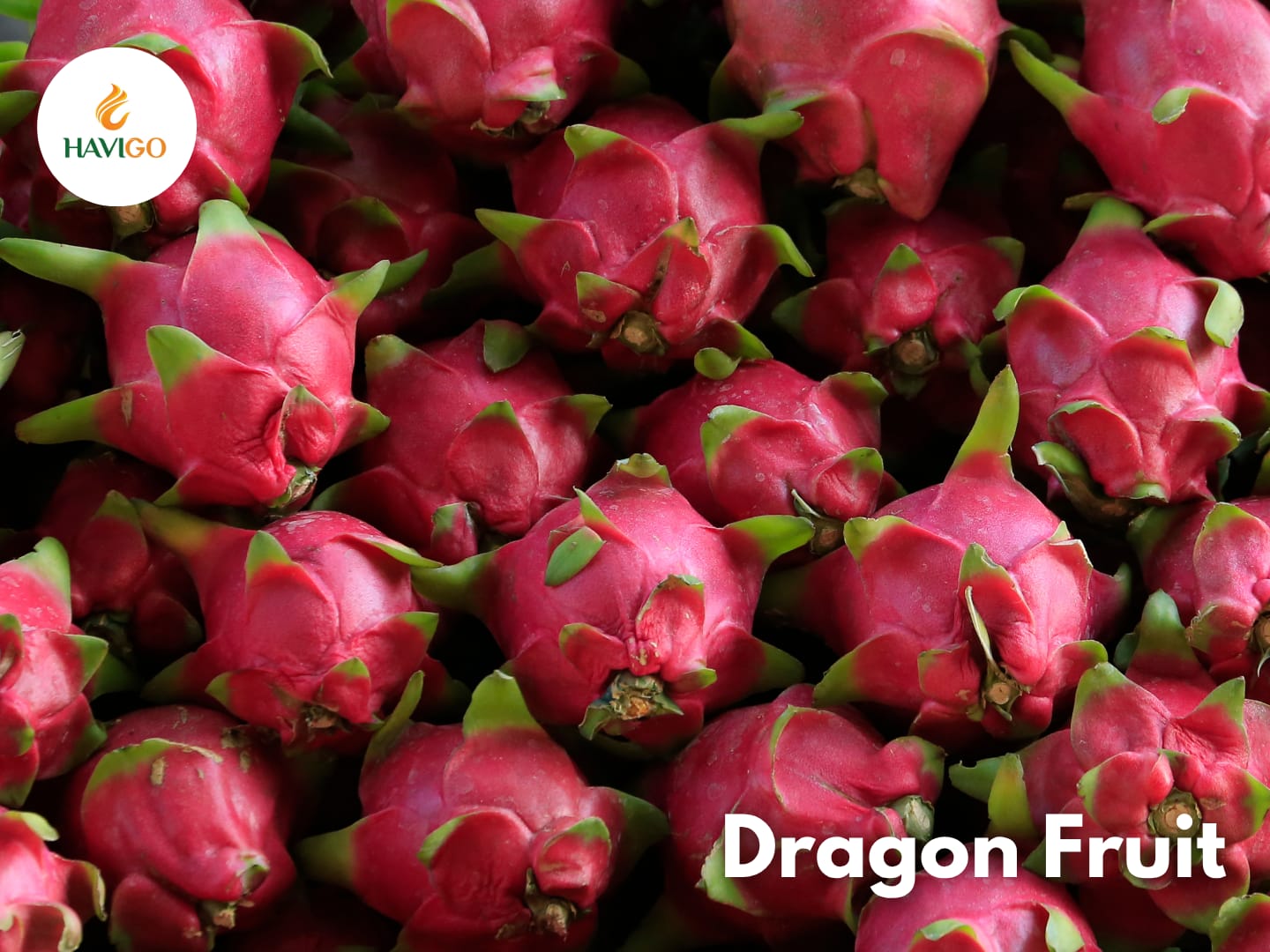 dragon-fruit