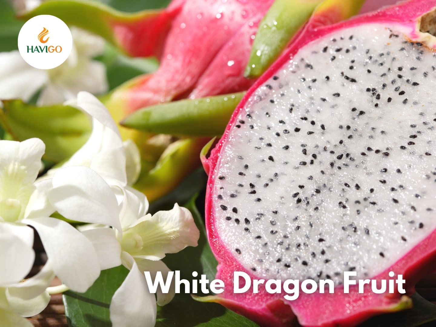 Wondered About the Magic of Vietnamese White Dragon Fruit?