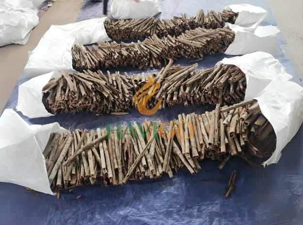 Packaging Solutions That Match Your Market