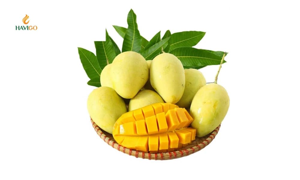 hoa-loc-mango–premium-vietnamese-mango-for-export