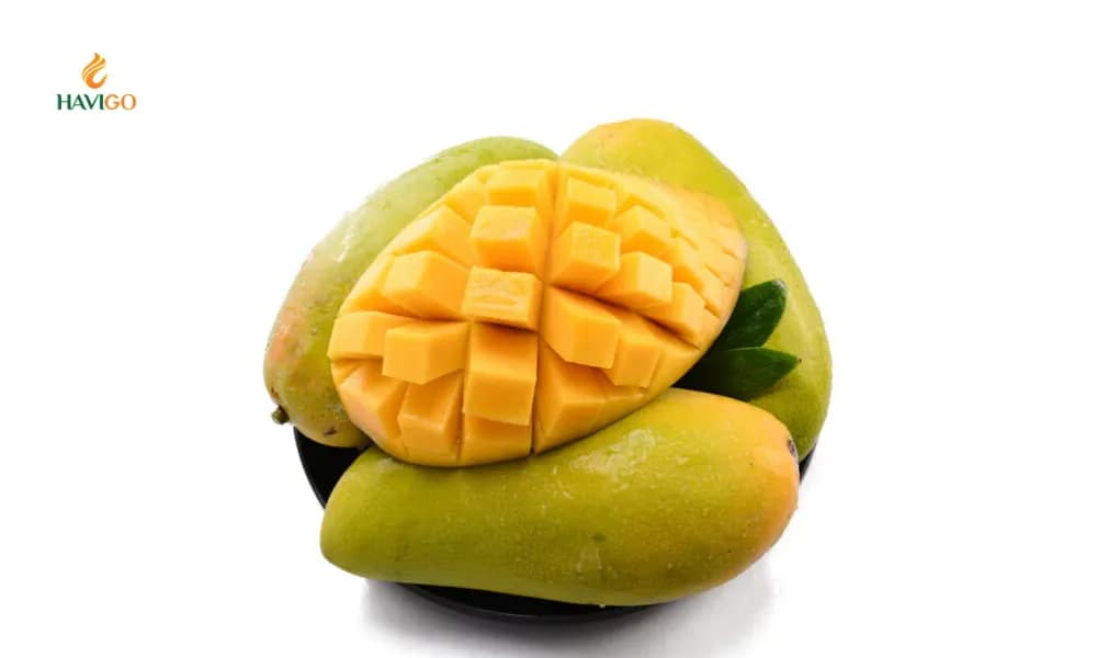 Hoa Loc Mango – A Trusted Vietnamese Mango Variety