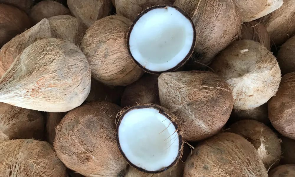 Vietnamese Dried Coconut