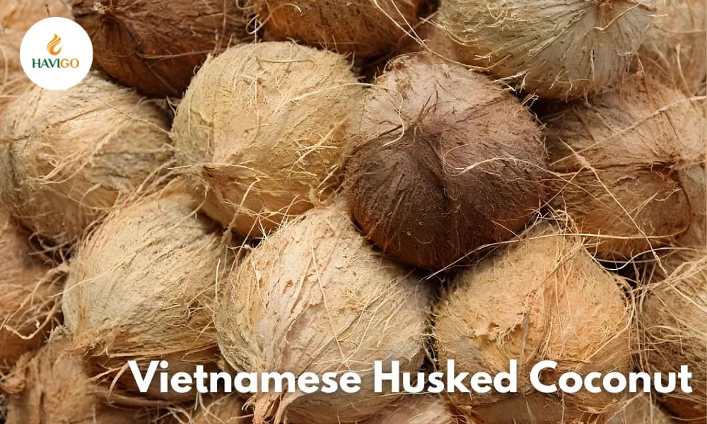 Vietnamese Semi husked Coconut