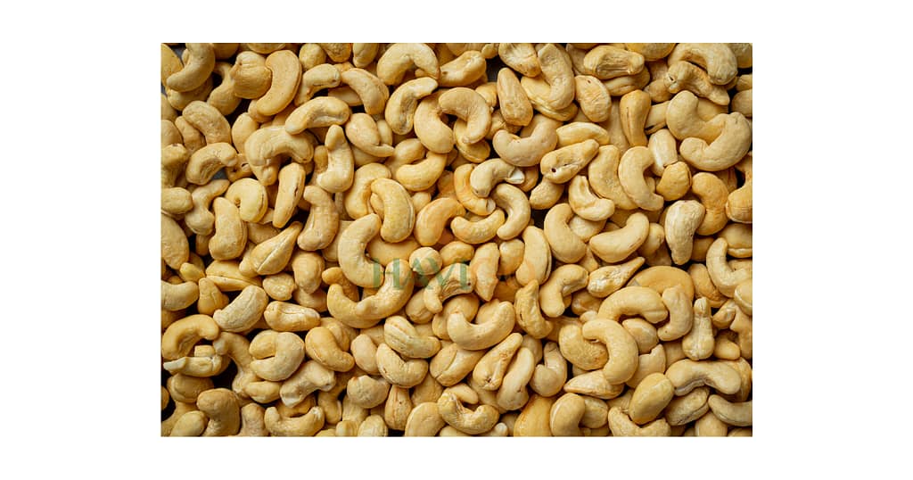 Havigo Vietnam's Global Export Network