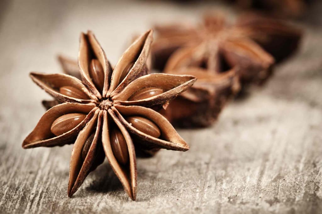 Vietnam Star Anise