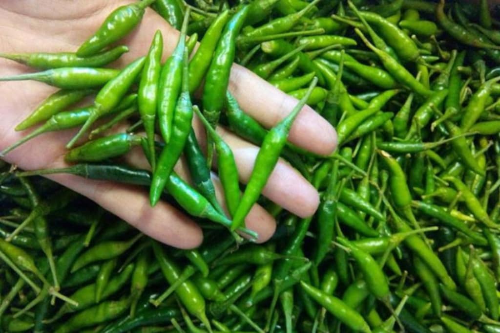Green Chilies
