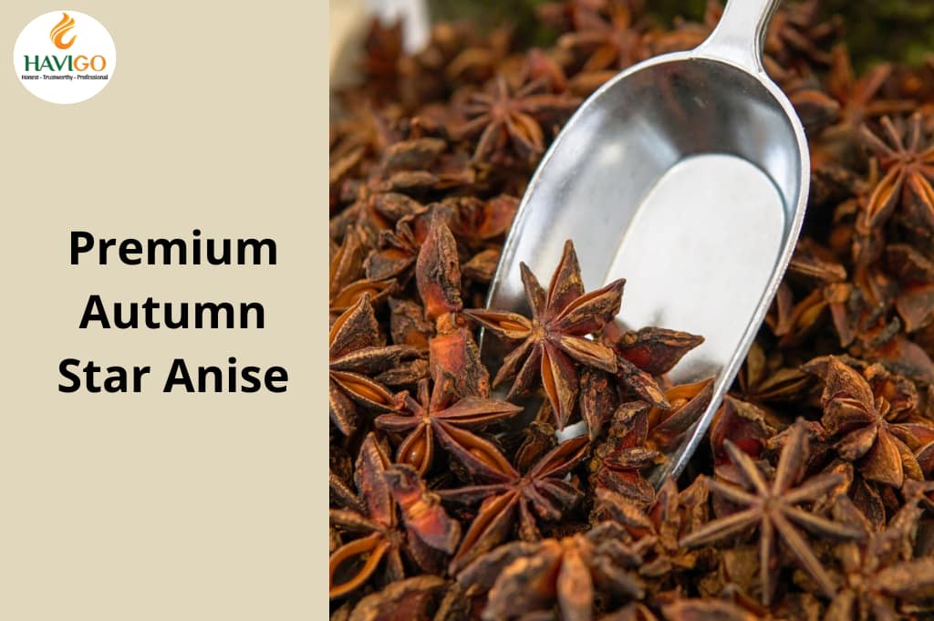 Premium Autumn Star Anise