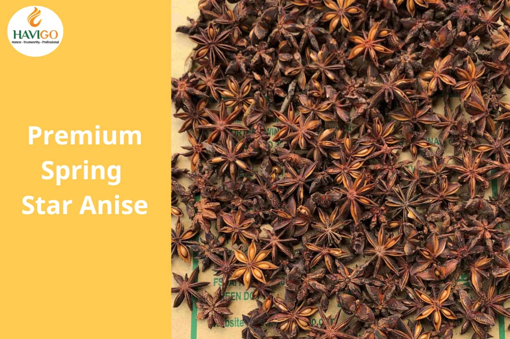 Premium Spring Star Anise