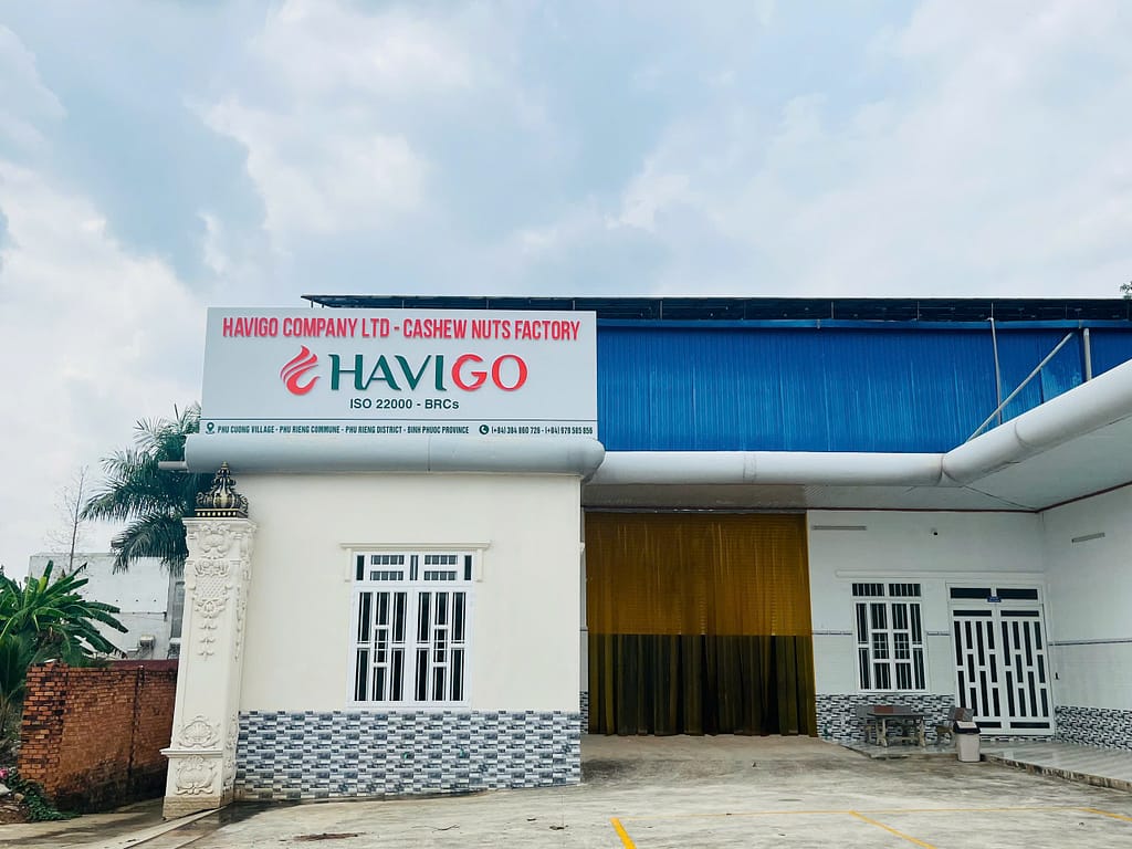 Inside Havigo Vietnam – A Leading Cashew Factory in Vietnam