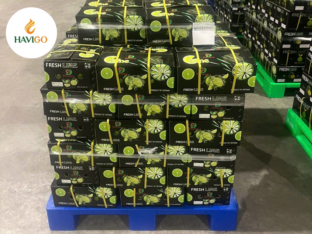 Vietnam – Trusted Source of Premium Limes