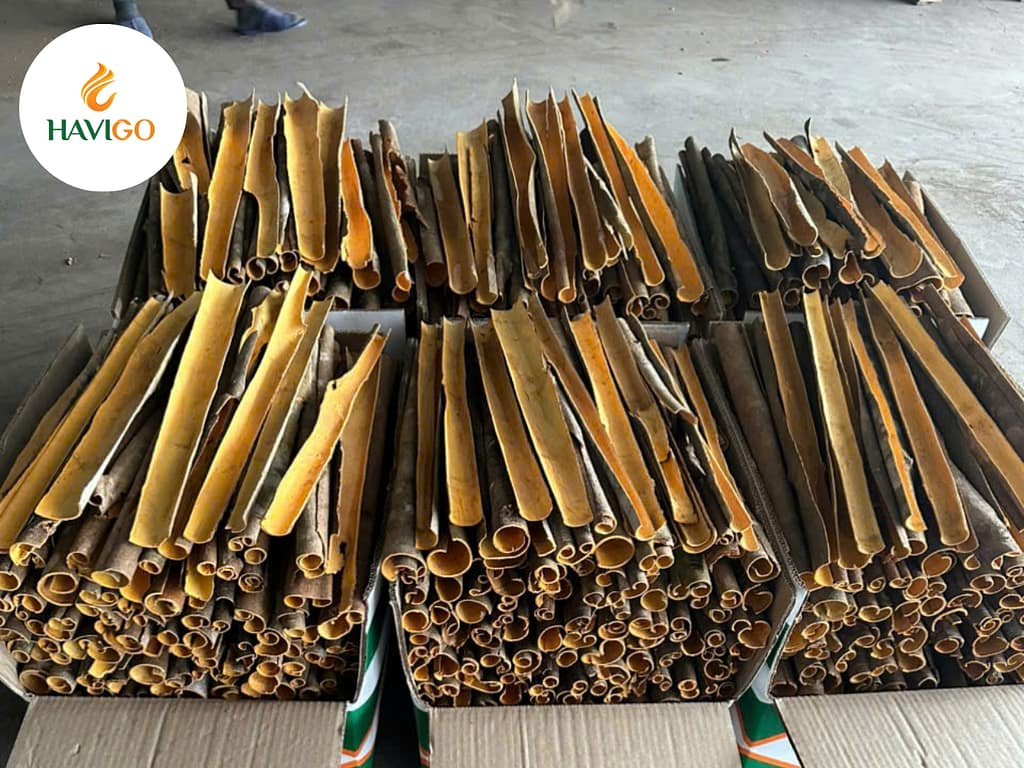 Top Health Benefits of Cinnamon