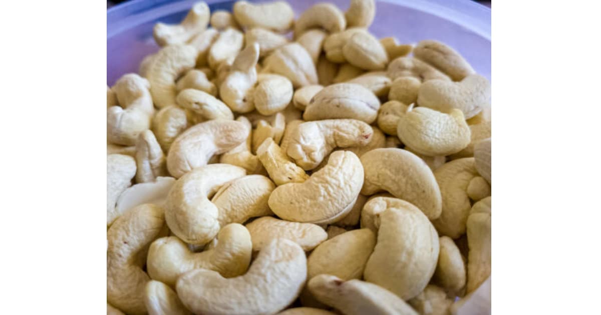 Cashew nut supplier
