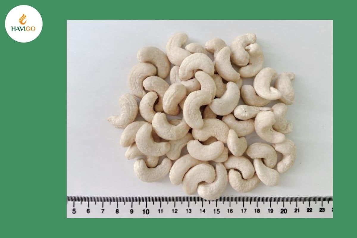ww240 cashew nuts