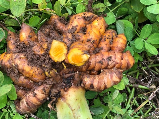 beec73de08f8a4a6fde9