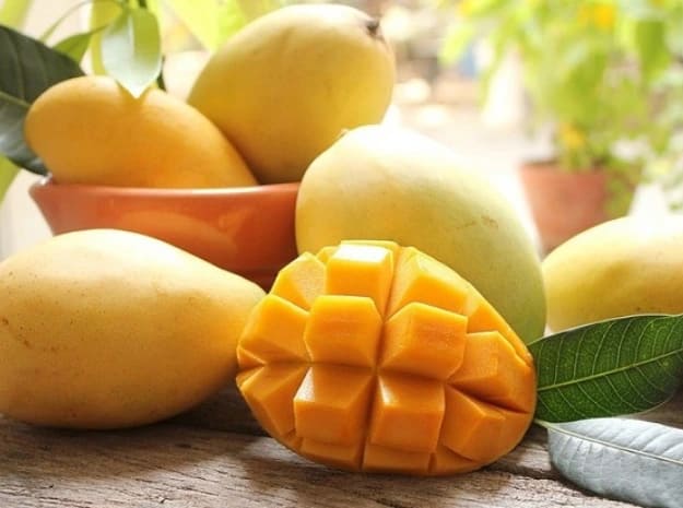 hoa-loc-vietnamese-mango-2