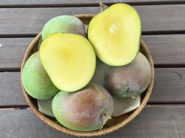 r2e2-vietnamese-mango-1