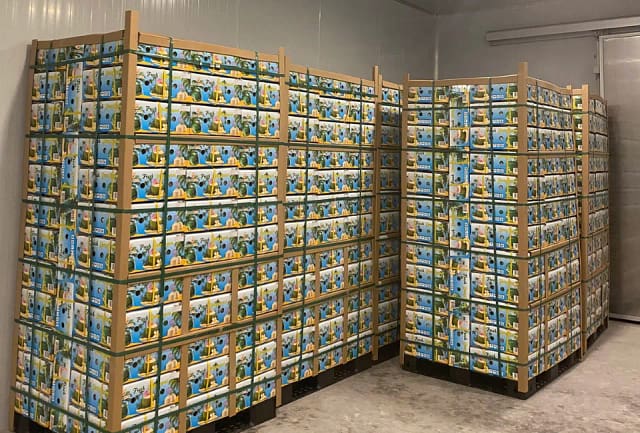 packaging of vietnamese push press coconut