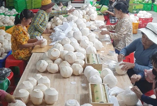 the process of making push button coconut