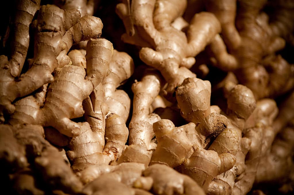 Vietnam Fresh Ginger