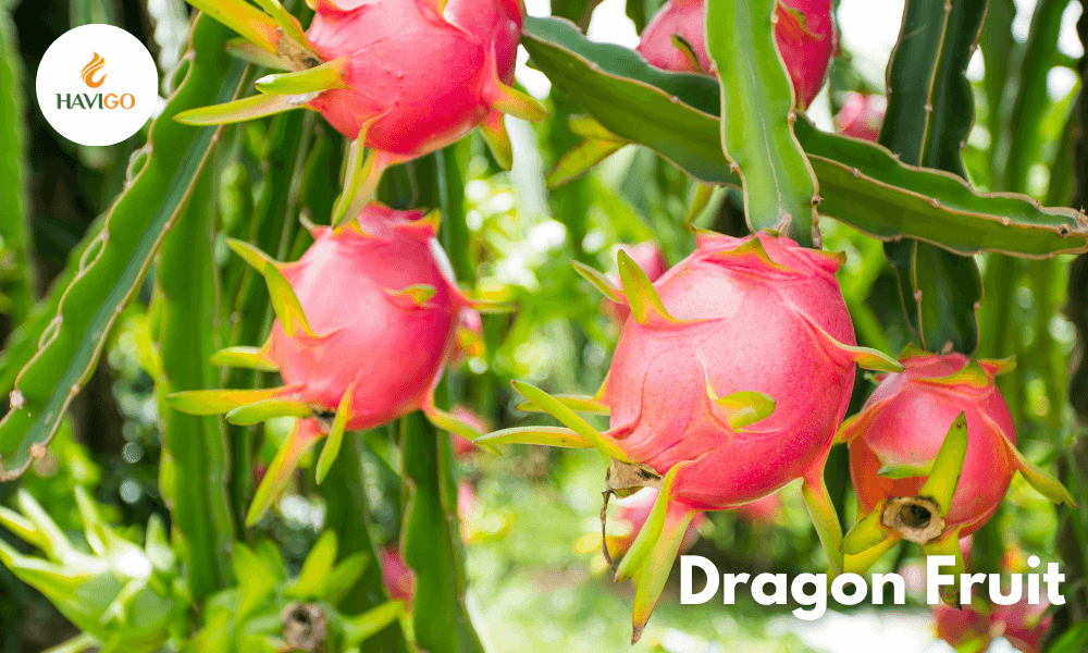 Seasonal Supply and Demand Effects