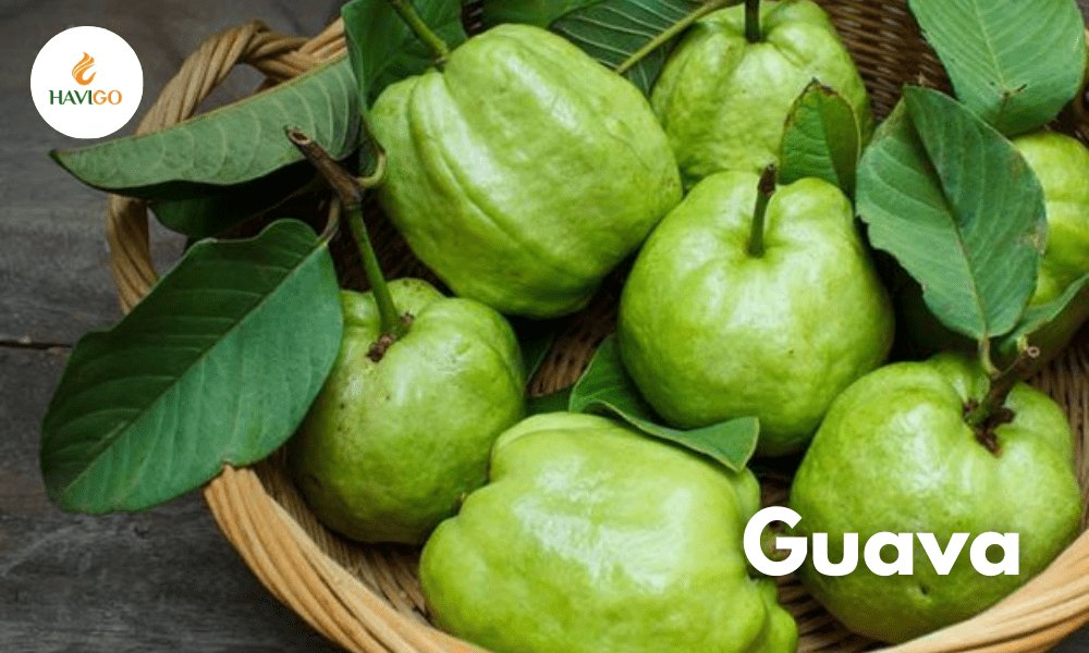 Vietnamese guava