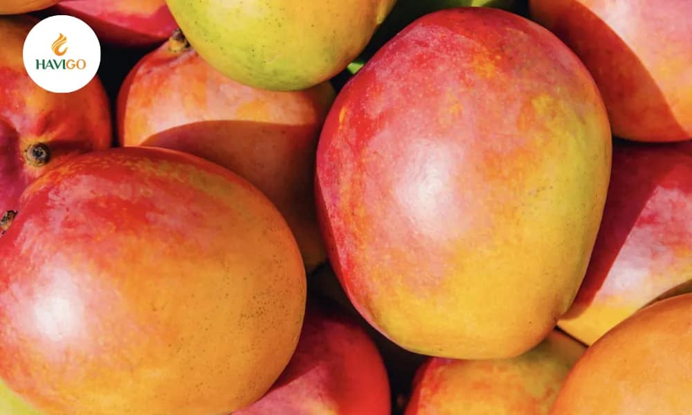 why-vietnamese-mango-has-a-competitive-edge